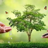 Une image 1000 réponse